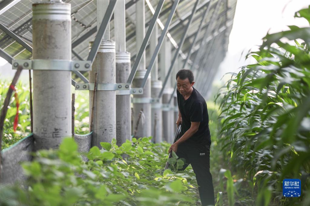 聚星在线注册账号